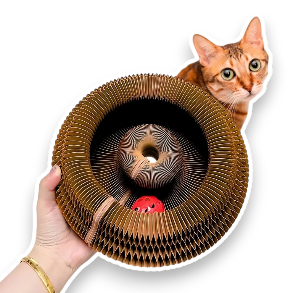 Pawsome Spinner™
