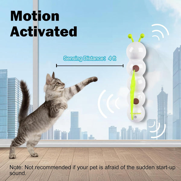 Whisker Chase Cat Teaser
