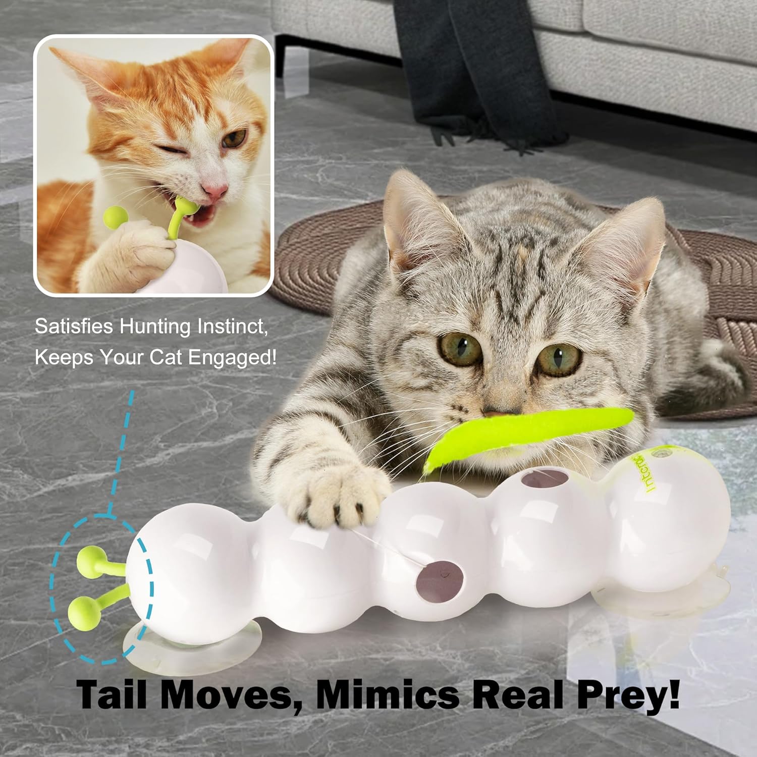 Pawsome Bug® 3.0