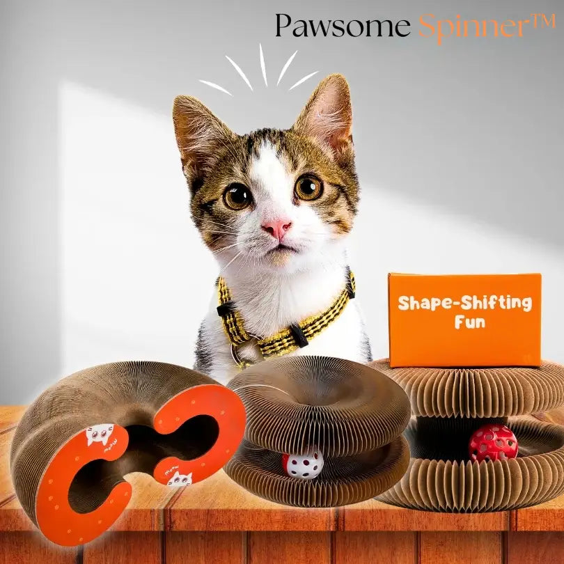 Pawsome Spinner™
