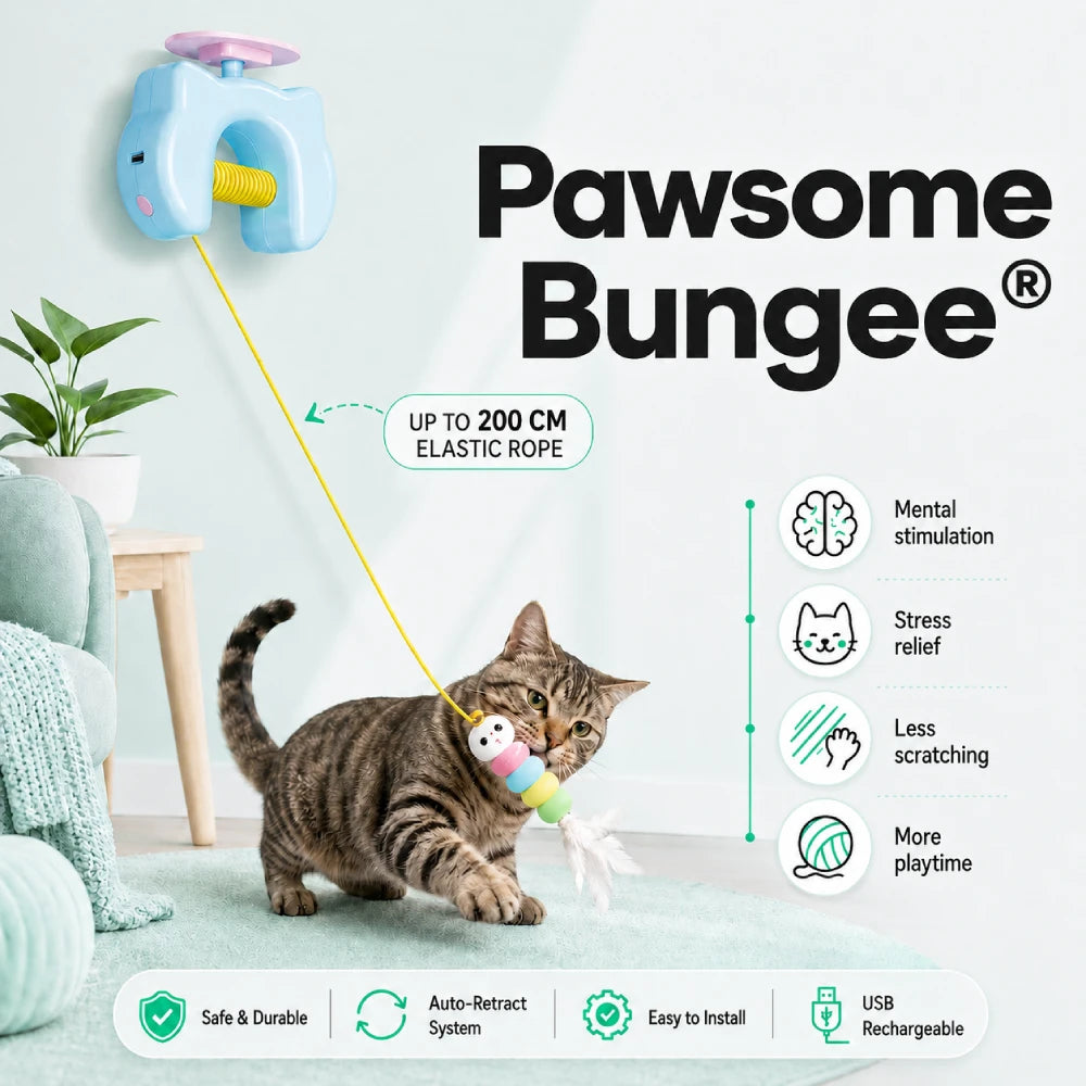 Pawsome Bungee®