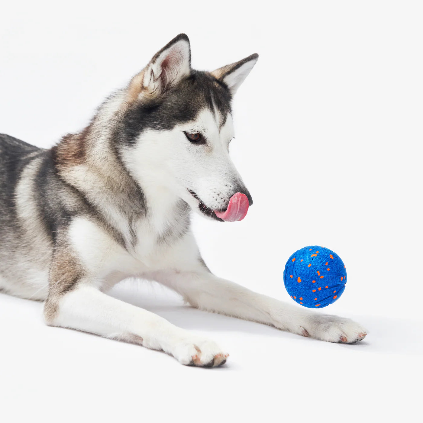 Pawsome Popper® 3.0