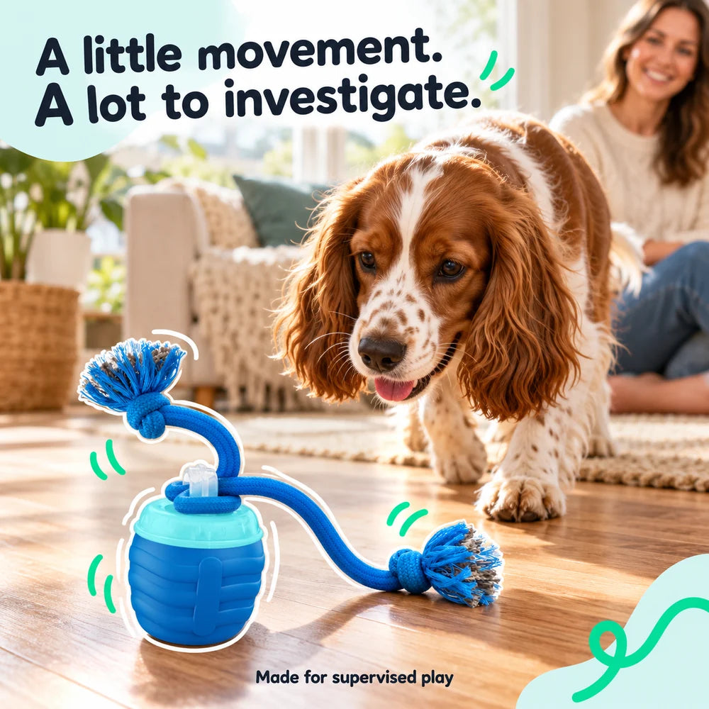 Pawsome Rumble — product image 5
