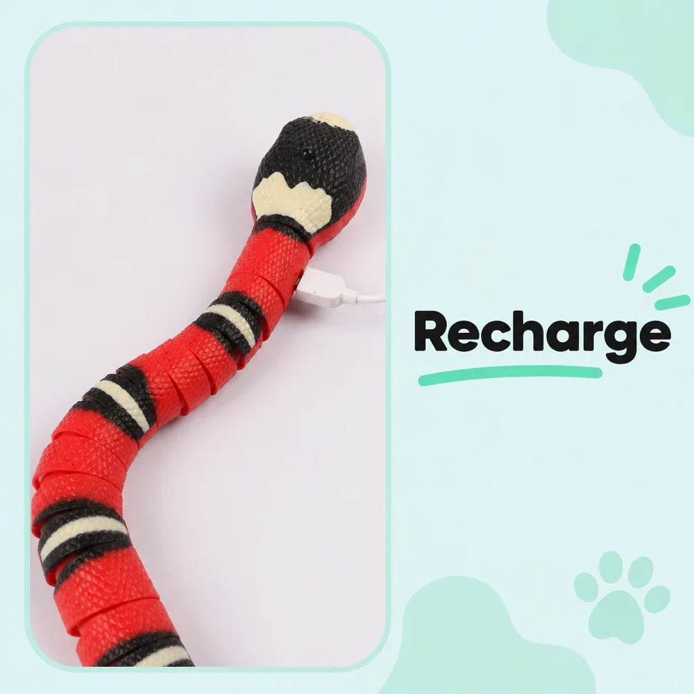Pawsome Hissfit — product image 4
