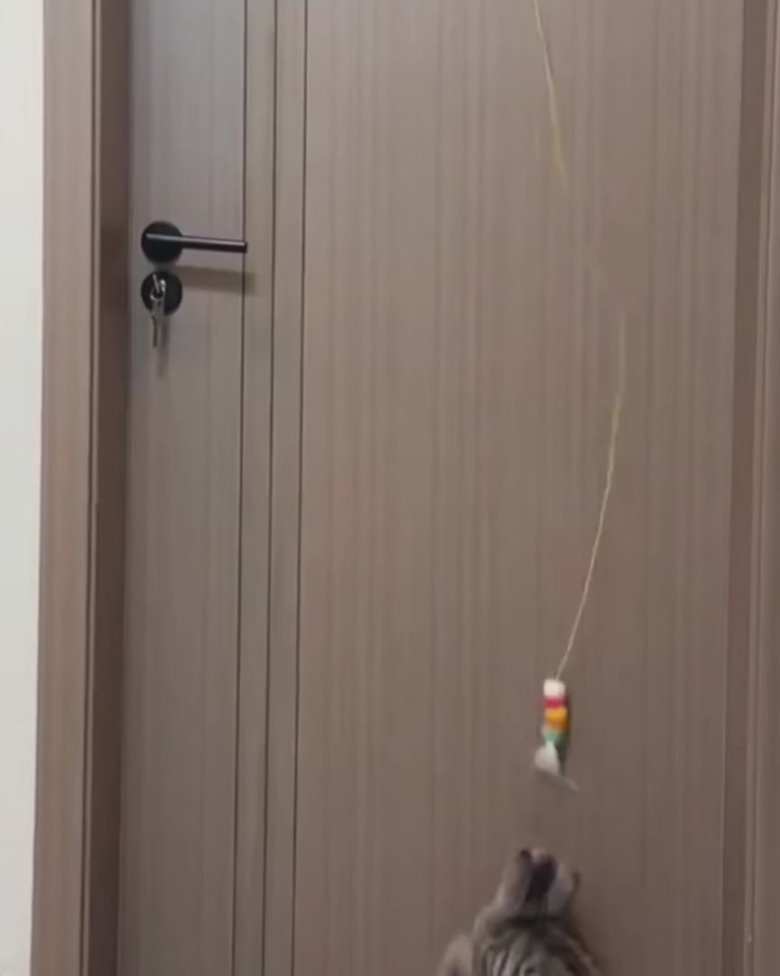 Watch customer video