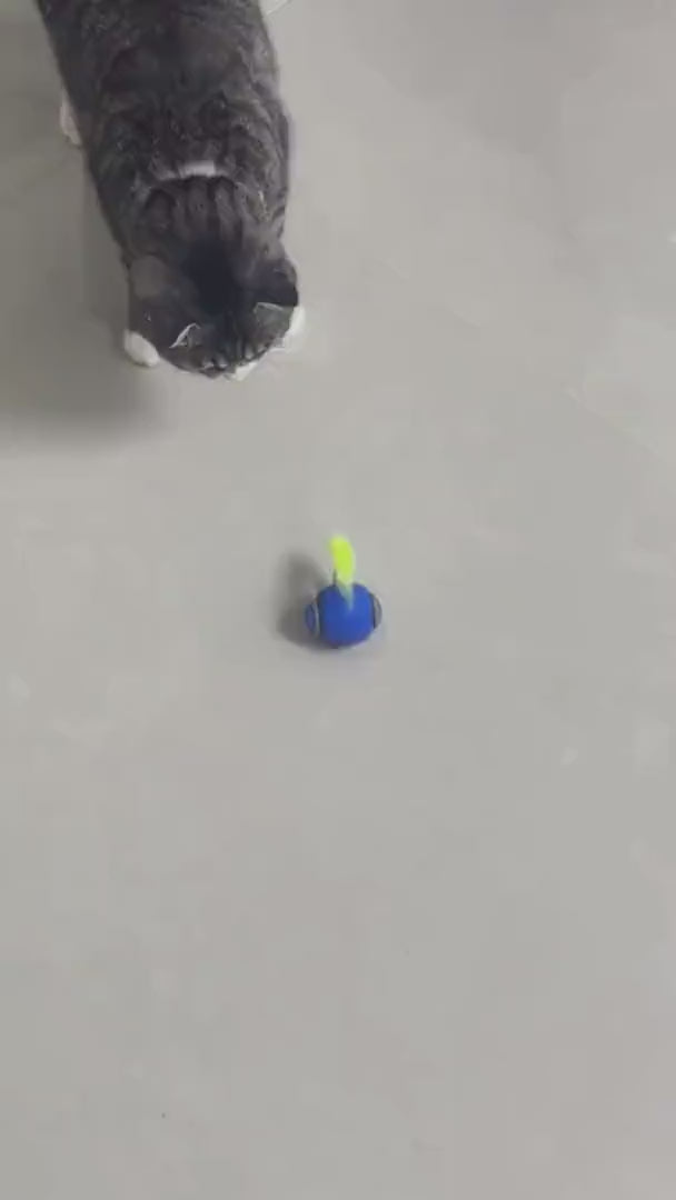 Watch customer video