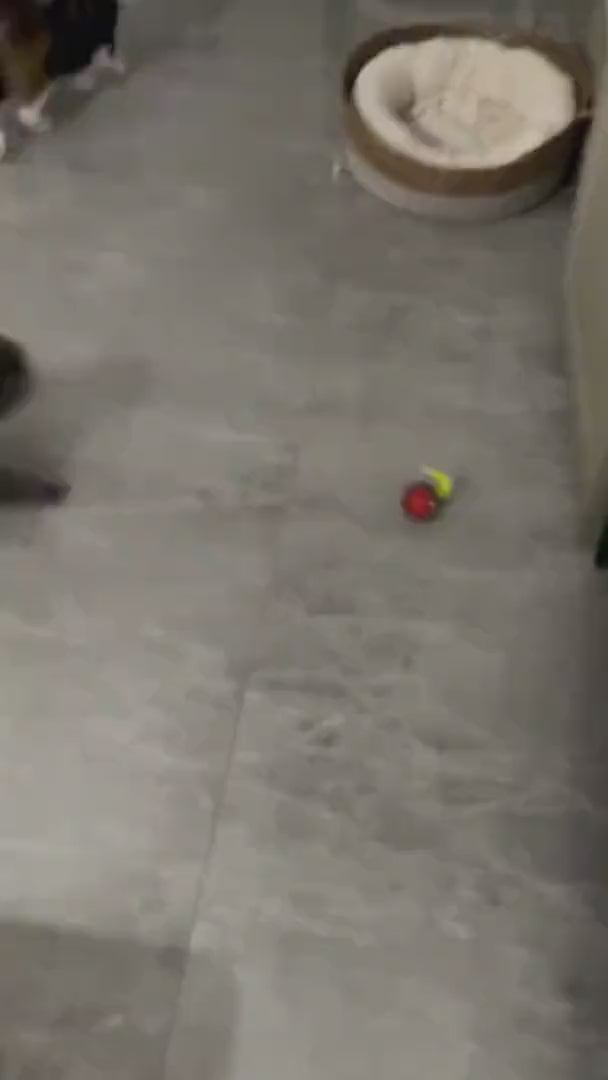 Watch customer video