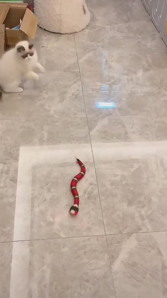 Watch video