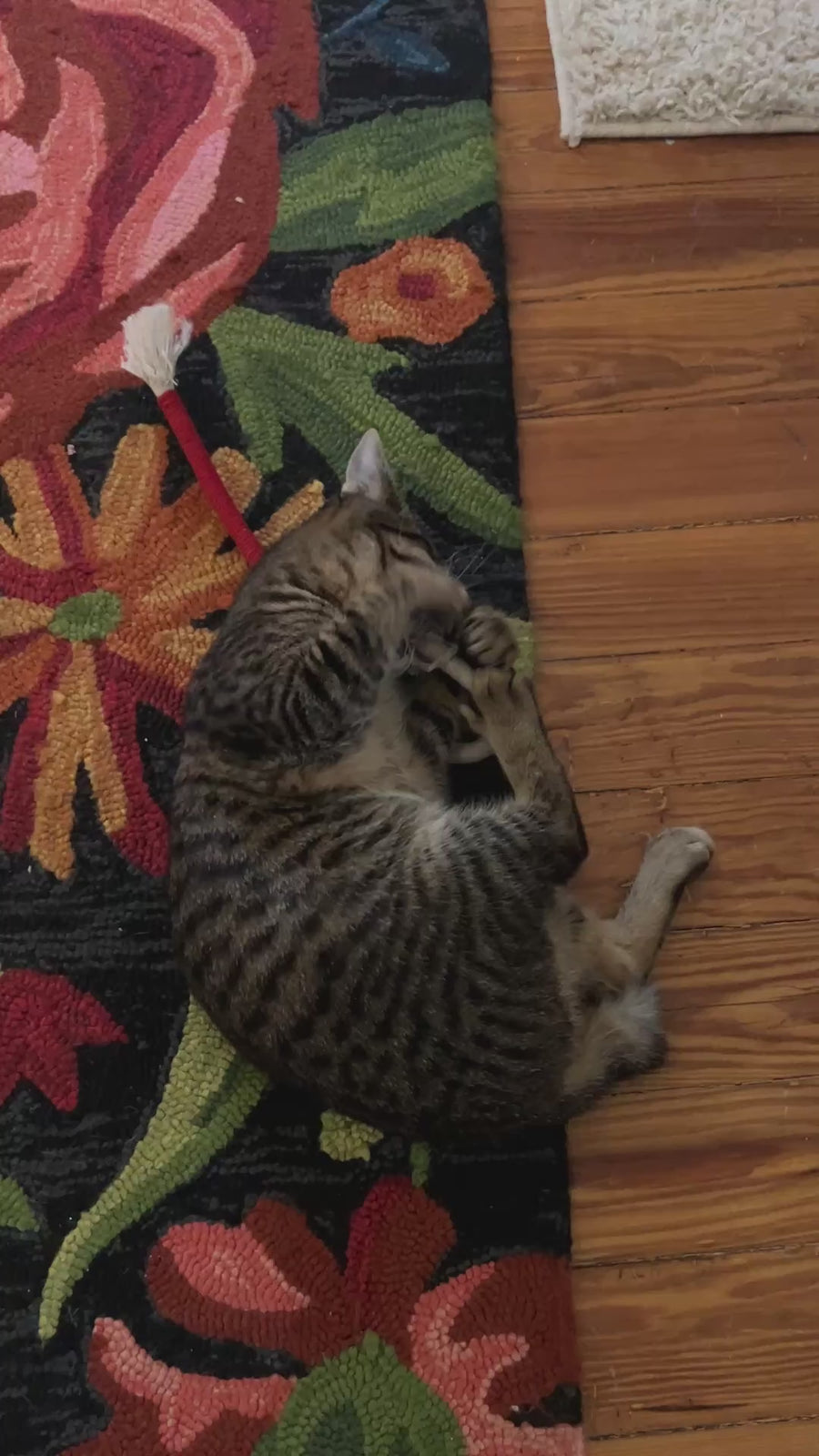 Watch customer video