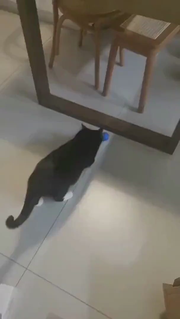 Watch customer video