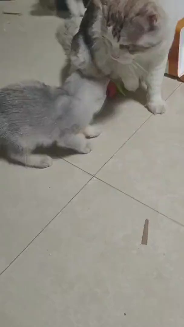 Watch customer video