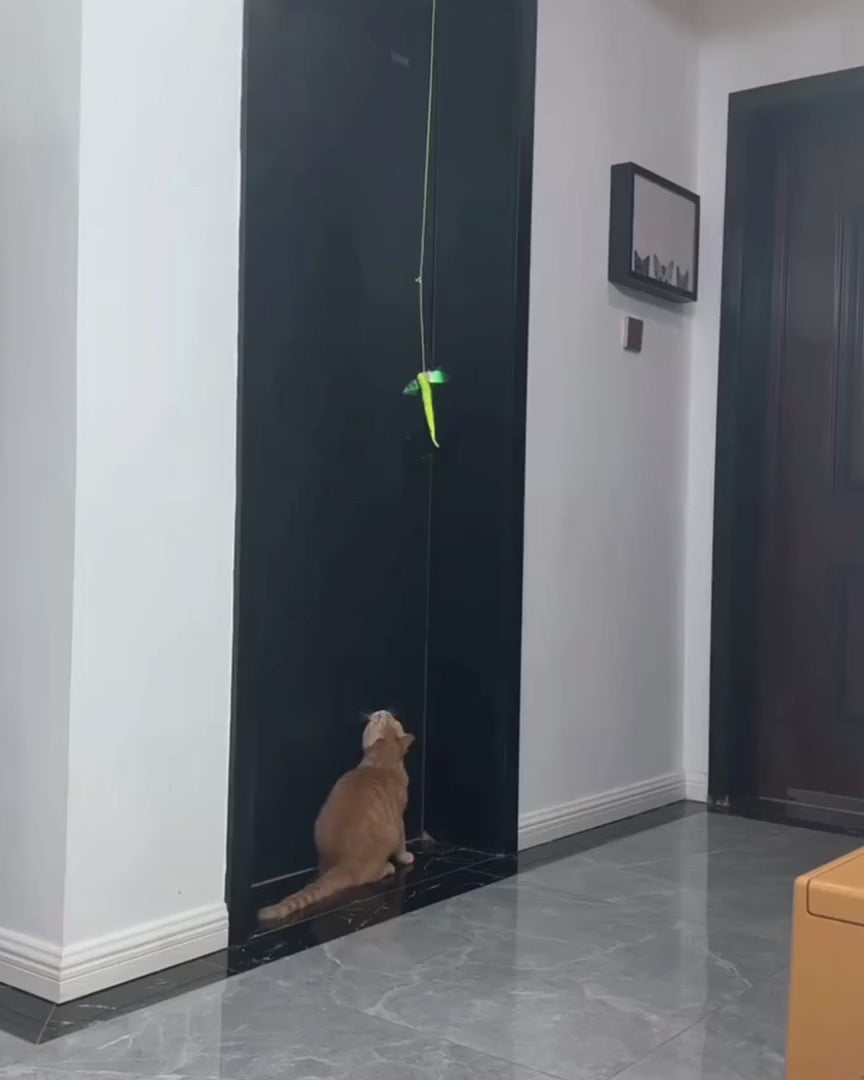 Watch customer video