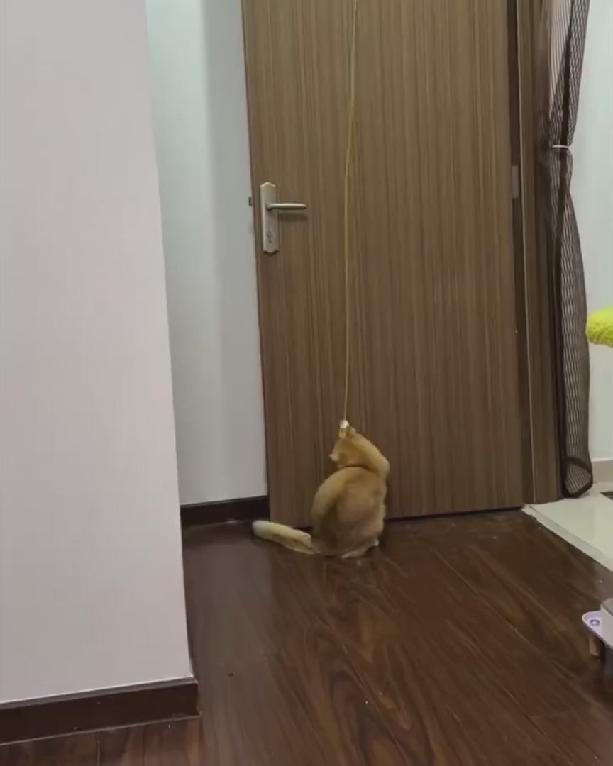 Watch customer video