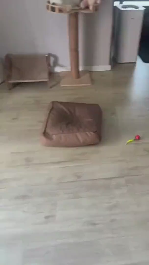 Watch customer video