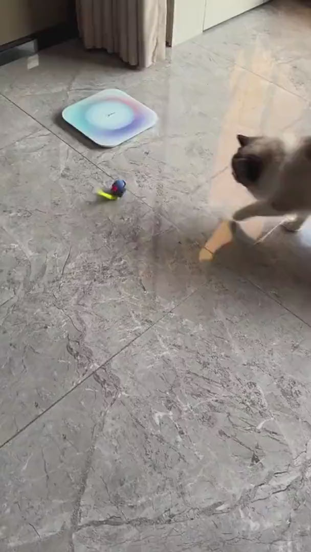 Watch customer video