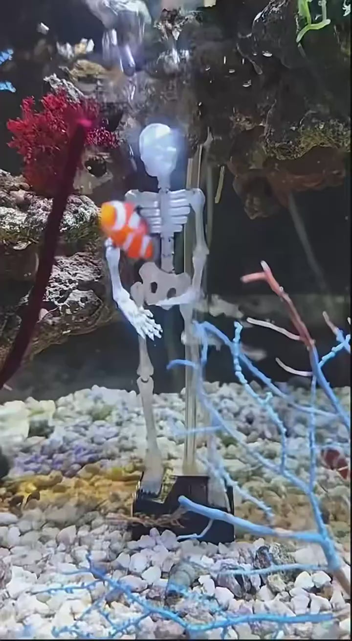 Watch customer video