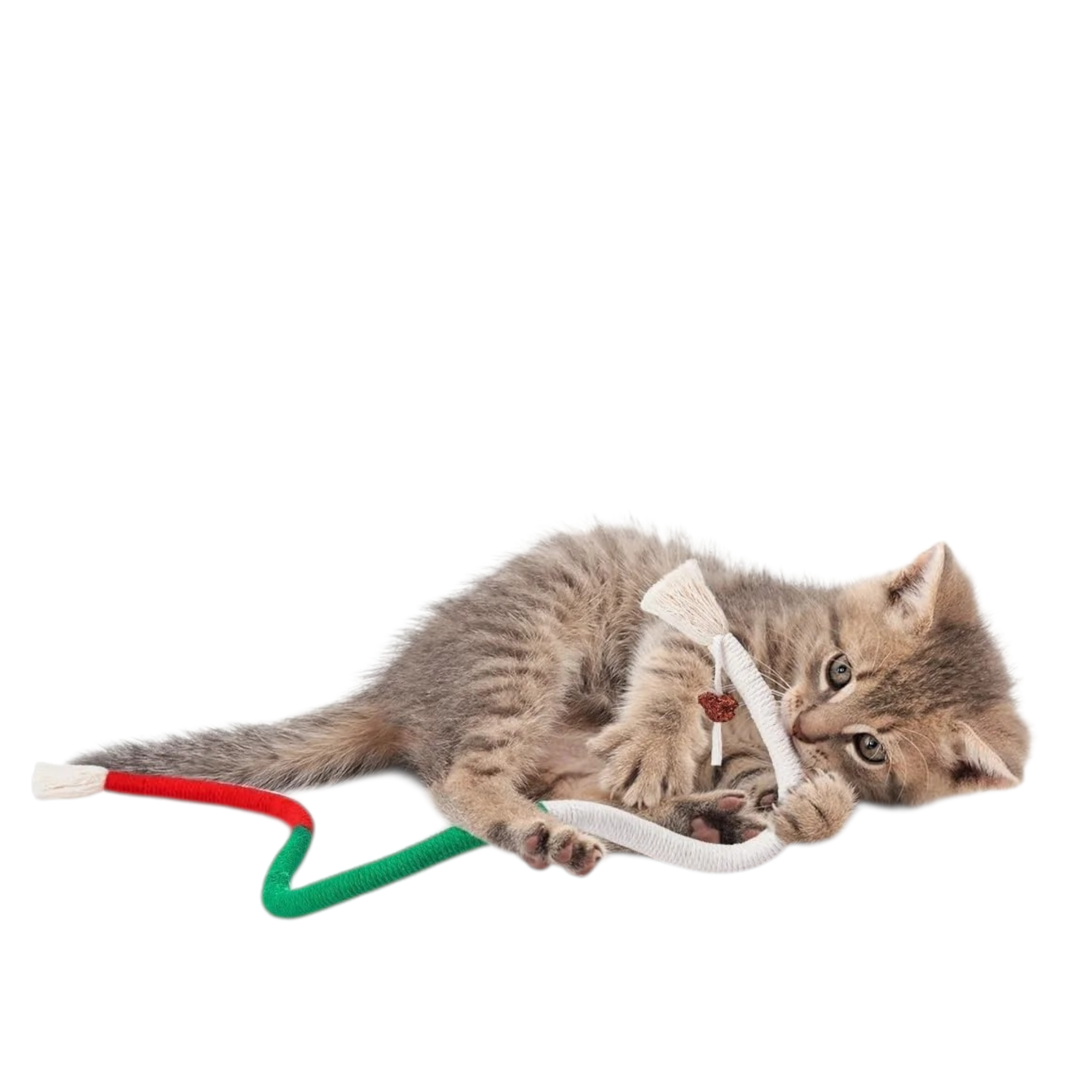 Pawsome Floss™
