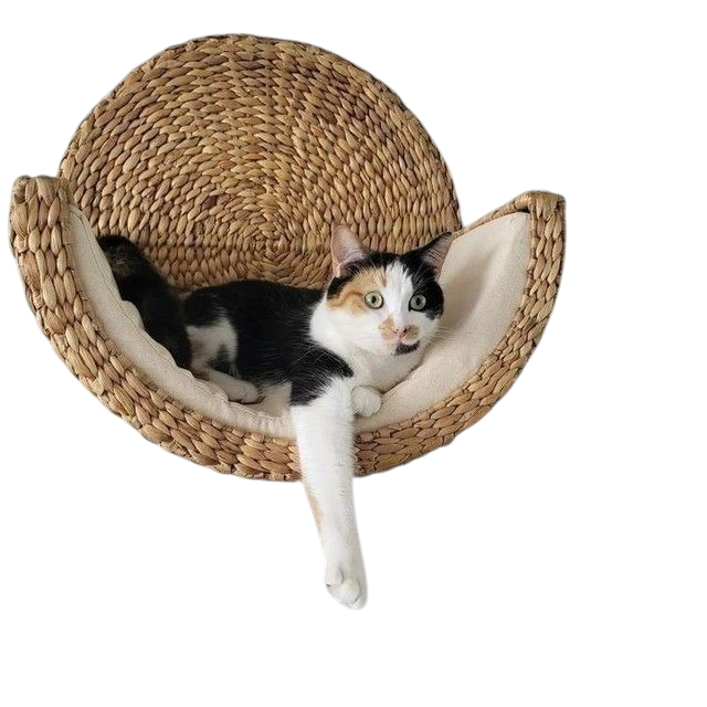 Pawsome Perch®